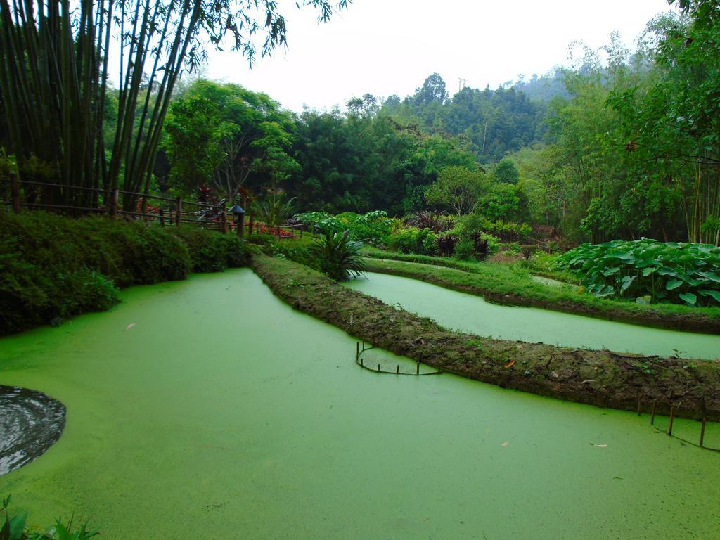 Panhou Retreat Hotel Hà Giang Eksteriør billede