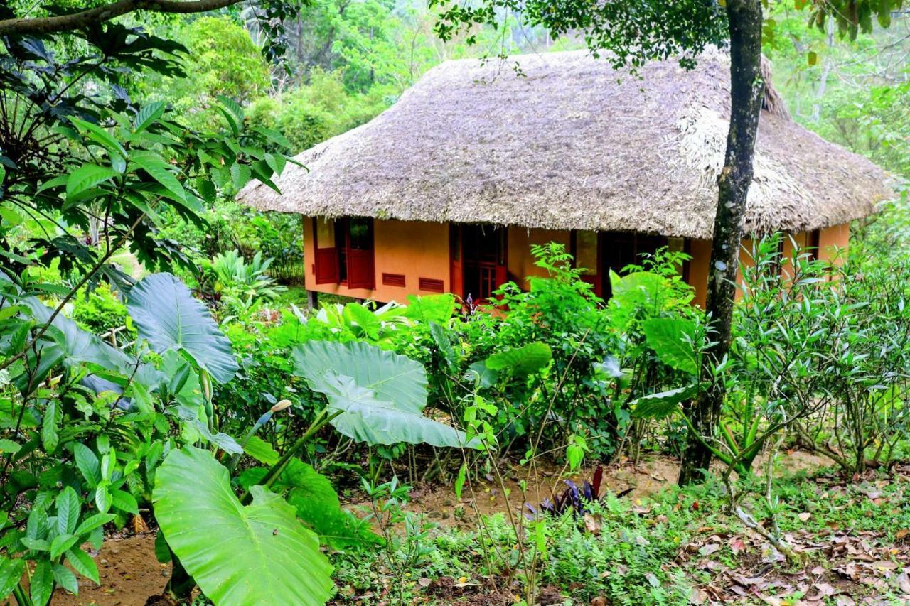 Panhou Retreat Hotel Hà Giang Eksteriør billede